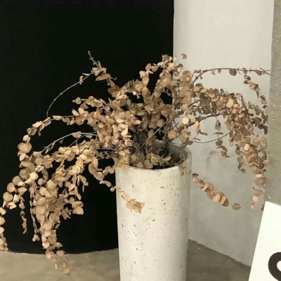 印江FurryQQ群介绍